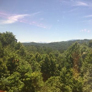 Meet your Posher, Alycia